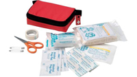 first-aid-kit---20-pcs---clip..jpg